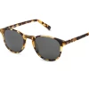 Oxford & Evergreen Accessories Warby Parker Downing Sunglasses, Polarized, Walnut Tortoise